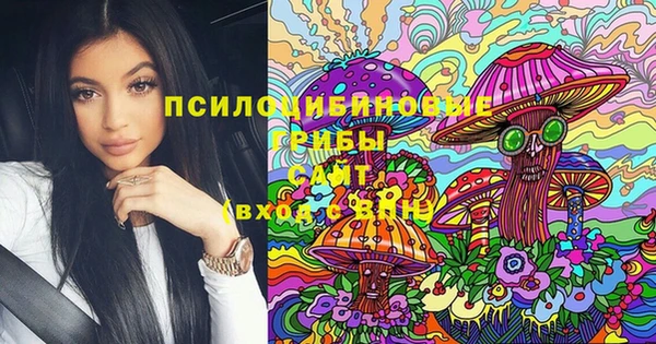 молекула духа Баксан
