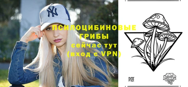 молекула духа Баксан