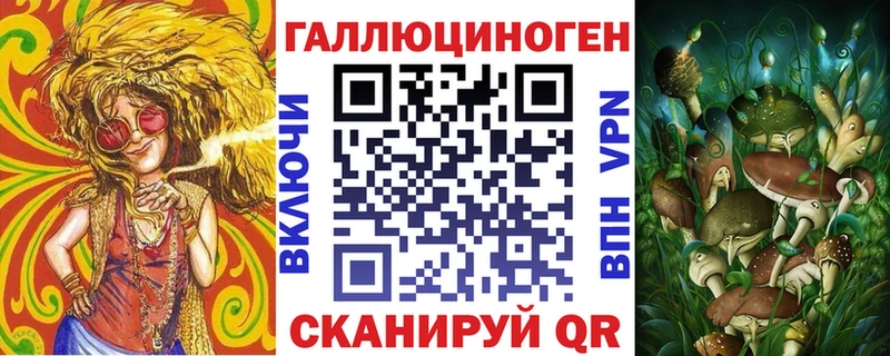 Псилоцибиновые грибы Psilocybe  Лыткарино 