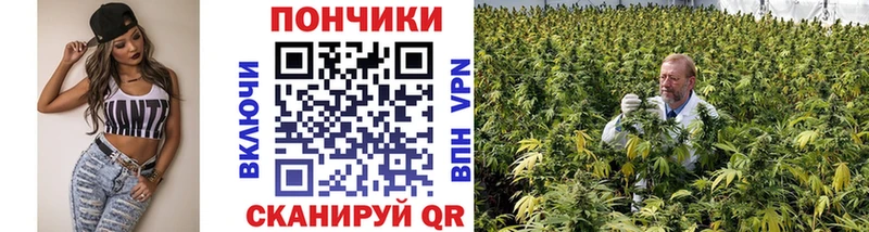 Шишки марихуана семена  как найти   Лыткарино 